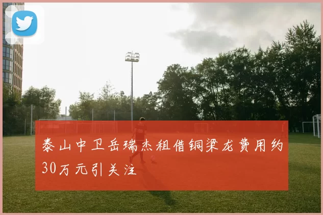 泰山中卫岳瑞杰租借铜梁龙费用约30万元引关注
